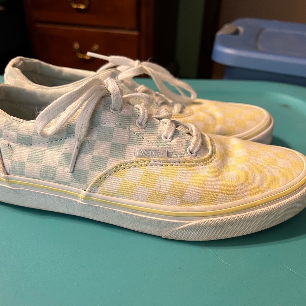 Vans Skate Shoe